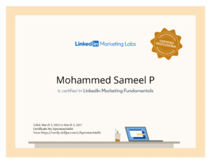 Digital Marketing Strategist In Malappuram-LinkedIn